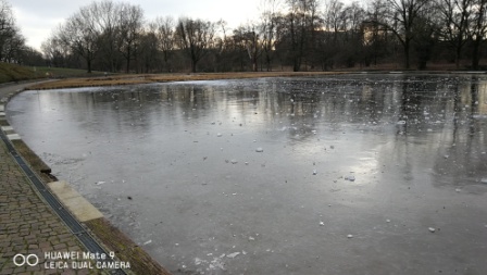 Der Modellbootsee der Günther-Klotz-Anlage Karlsruhe mit Bruchstücken von Eis übersät